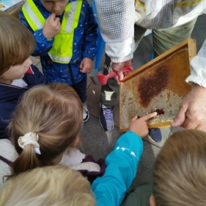 Tradicionalni slovenski zajtrk v Biljani Tradicionalni slovenski zajtrk v Biljani