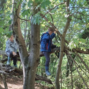 September v Kojskem September v Kojskem