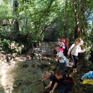 September v Kojskem September v Kojskem