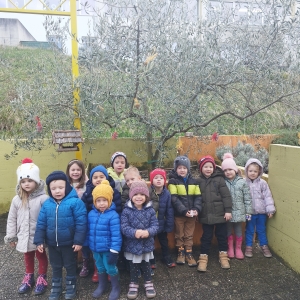 Opazovanje ptic Opazovanje ptic