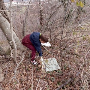 Čistilna akcija Čistilna akcija