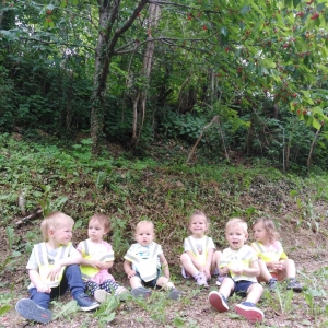 Žogice na sprehodu Žogice na sprehodu