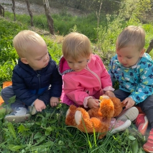 GOZDNI KOTIČKI V VRTCU KOJSKO GOZDNI KOTIČKI V VRTCU KOJSKO