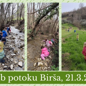 DOPOLDNE V NARAVI V SKUPINI MEDVEDKI DOPOLDNE V NARAVI V SKUPINI MEDVEDKI