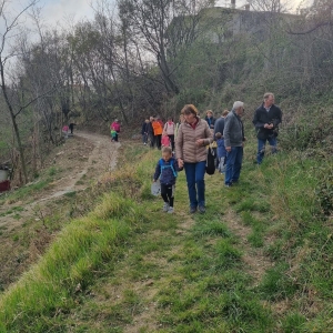 Pohod z nonami in nonoti Pohod z nonami in nonoti