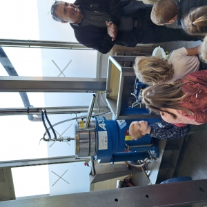 Obiranje oljk Obiranje oljk