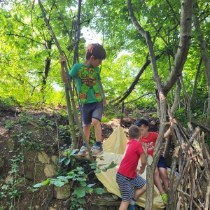 DOPOLDNE V GOZDU DOPOLDNE V GOZDU