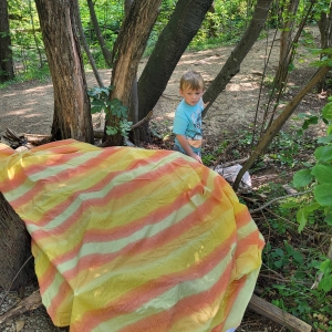 DOPOLDNE V GOZDU DOPOLDNE V GOZDU