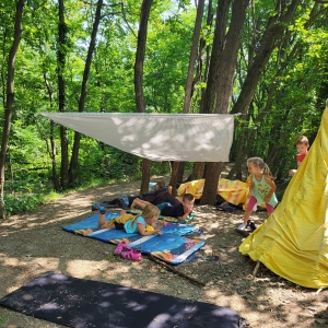 DOPOLDNE V GOZDU DOPOLDNE V GOZDU