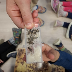 TRADICIONALNI SLOVENSKI ZAJTRK TRADICIONALNI SLOVENSKI ZAJTRK