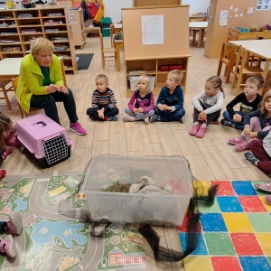 Medgeneracijsko sodelovanje Medgeneracijsko sodelovanje