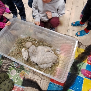 Medgeneracijsko sodelovanje Medgeneracijsko sodelovanje