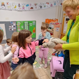 Medgeneracijsko sodelovanje Medgeneracijsko sodelovanje