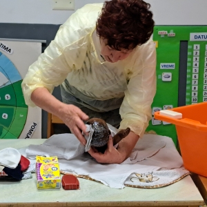 Medgeneracijsko sodelovanje Medgeneracijsko sodelovanje