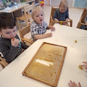 Čebele pri Ribicah Čebele pri Ribicah