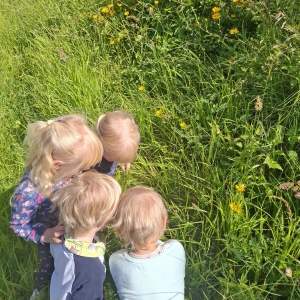 Čebele pri Ribicah Čebele pri Ribicah