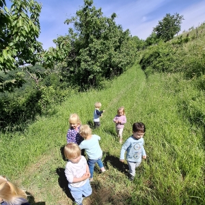 Čebele pri Ribicah Čebele pri Ribicah