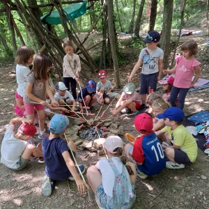 Dan v gozdičku Dan v gozdičku