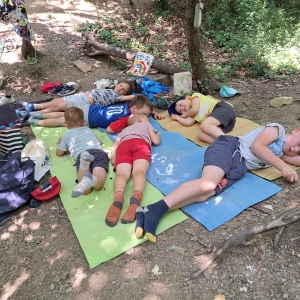 Dan v gozdičku Dan v gozdičku