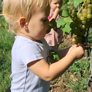 September v Kojskem September v Kojskem