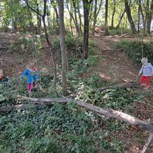 September v Kojskem September v Kojskem