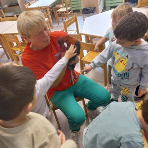 Kokošja družina Kokošja družina