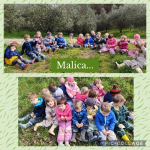 DOPOLDNE V NARAVI V SKUPINI MEDVEDKI DOPOLDNE V NARAVI V SKUPINI MEDVEDKI