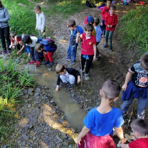 Jesenski pohod Jesenski pohod