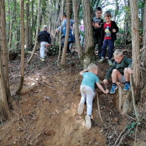 Jesenski pohod Jesenski pohod