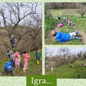 DOPOLDNE V NARAVI V SKUPINI MEDVEDKI DOPOLDNE V NARAVI V SKUPINI MEDVEDKI