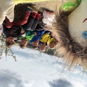 Čistilna akcija Čistilna akcija