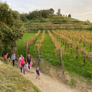 Pohod z nonami in nonoti Pohod z nonami in nonoti