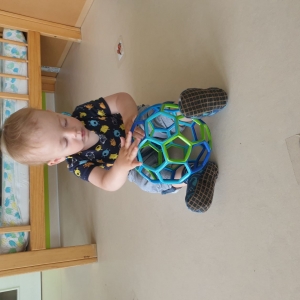 Igre z žogo Igre z žogo