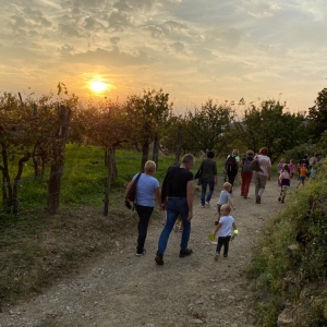 Pohod z nonami in nonoti Pohod z nonami in nonoti