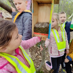 Projekt Zeleni nahrbtnik  Projekt Zeleni nahrbtnik