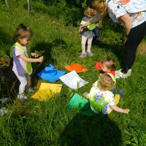 Iskanje barv v naravi