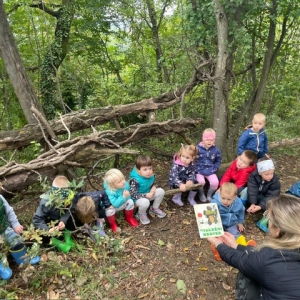 GOZDNI KOTIČKI V VRTCU KOJSKO GOZDNI KOTIČKI V VRTCU KOJSKO