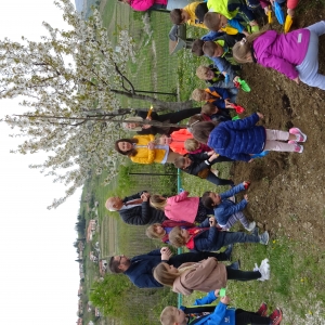 Zdravo okolje Zdravo okolje