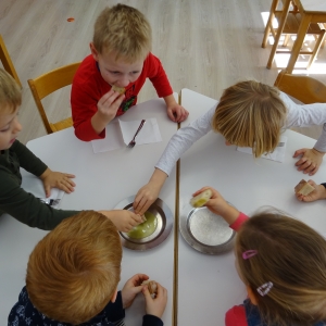 Obiranje oljk Obiranje oljk