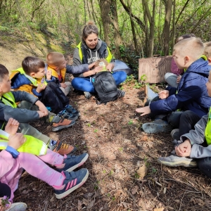 Projekt Zeleni nahrbtnik  Projekt Zeleni nahrbtnik