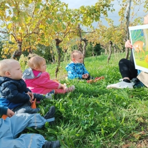 GOZDNI KOTIČKI V VRTCU KOJSKO GOZDNI KOTIČKI V VRTCU KOJSKO