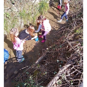 Zeleni nahrbtnik Zeleni nahrbtnik