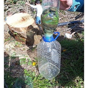 Zeleni nahrbtnik Zeleni nahrbtnik