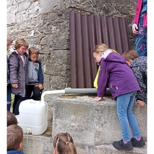 Zeleni nahrbtnik Zeleni nahrbtnik