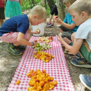Zaključek vrtca  Zaključek vrtca