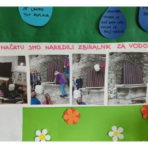 Zeleni nahrbtnik Zeleni nahrbtnik