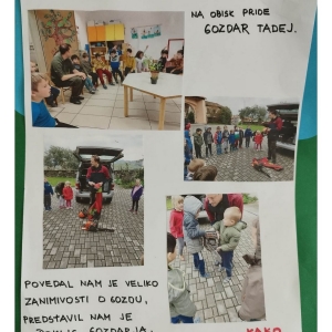 Zeleni nahrbtnik Zeleni nahrbtnik