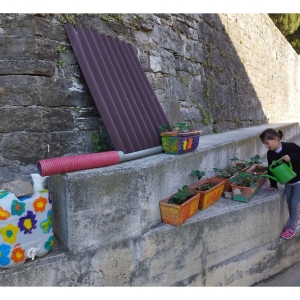 Zeleni nahrbtnik Zeleni nahrbtnik