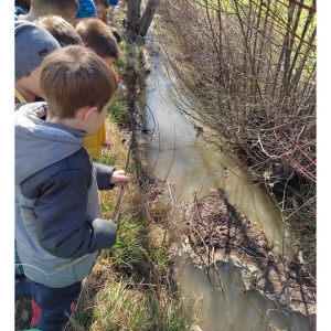 Zeleni nahrbtnik Zeleni nahrbtnik