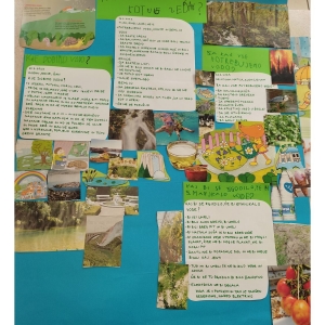 Zeleni nahrbtnik Zeleni nahrbtnik